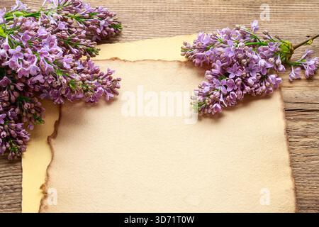 Lilacs and freesias on vintage paper background, copy space Stock Photo