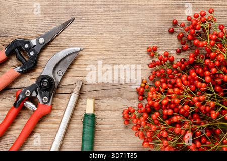 Rosa canina twigs (rose hip) and garden tools on wooden background, copy space Stock Photo