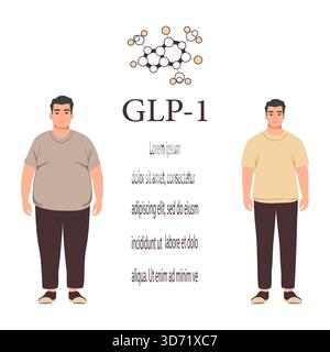glp 1 before and after men GLP-1 effects shown with overweight and slim man side by side, concept of weight loss vector Stock Vector Image & Art