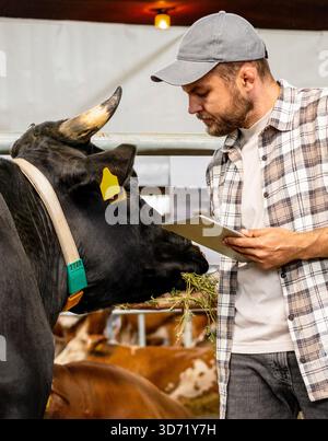 Male farmer examining the animals on a farm using tablet. Agricultural vet control. Stock Photo
