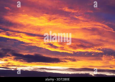 Red skies in the autumnal evening light. Stock Photo