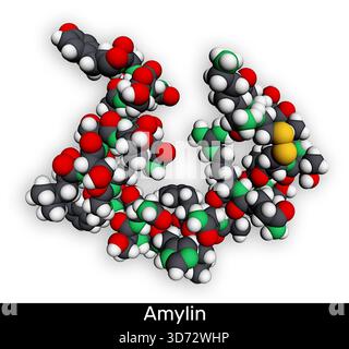 Image showcasing Pancreatic hormone molecule. Molecular model showing the secondary ...