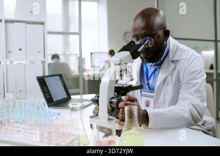 Middle Aged Black Man Examining Samples with Microscope in Medical Laboratory Stock Photo