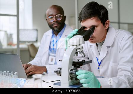Young Caucasian Man Examining Sample with Microscope Beside Middle Aged Black Man Stock Photo