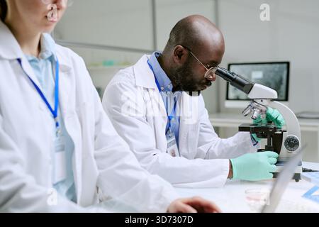 Middle Aged Black Man Examining Samples under Microscope in Laboratory Setting Stock Photo