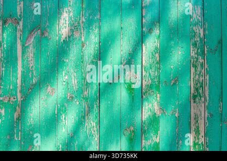 Peeling green paint on wooden planks. Light shadow on the planks. Colored background. Stock Photo