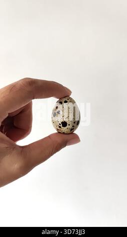A hand gently holding one small speckled quail egg against a plain background. Minimalist close-up image suitable for food, cooking, health Stock Photo