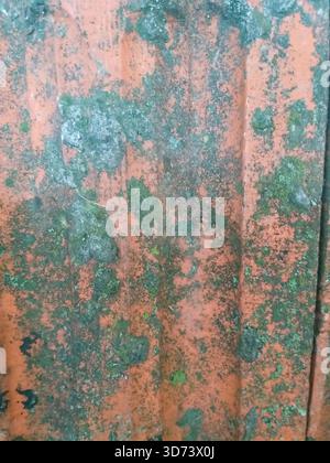 Old rusty metal painted red, overgrown with blue-green lichen. Stock Photo
