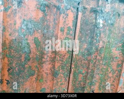 Old rusty metal painted red, overgrown with blue-green lichen. Stock Photo