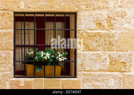 Window With Barred Window Box Of White Flowers In A Yellow Stone Wall Stock Photo