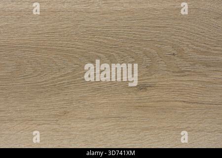 texture of oak wood, background, oak desktop texture background Stock Photo