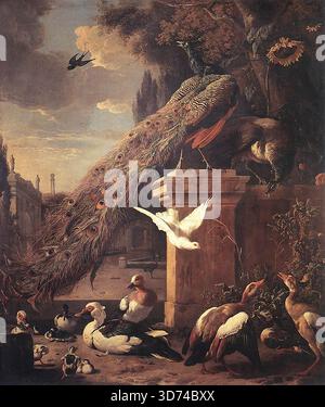 HONDECOETER, Melchior d' (b. 1636, Utrecht, d. 1695, Amsterdam)  Peacocks and Ducks c. 1680 Oil on canvas, 211 x 177 cm Wallace Collection, London  A group of Dutch artists in the seventeenth century represented live domesticated and wild birds. Their pictures do not belong to the category of still-life, but their emphasis on the textural and colouristic beauty of their subjects gives a still-life character to their works. Their patrons probably included the rich burghers who lived as landed aristocrats on estates in the country where they kept exotic as well as native fowl. Just as some paint Stock Photo