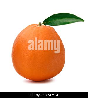 Sweet orange isolated on white background Stock Photo