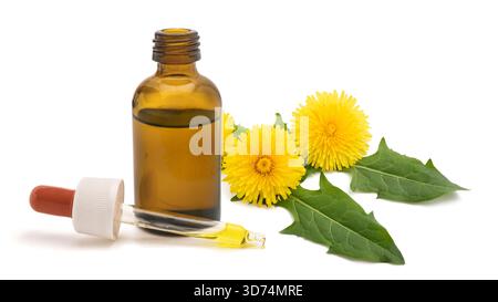 Dandelion flowers  with  essence bottle  isolated on white Stock Photo