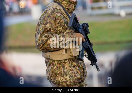 Military personnel in patterned uniform carrying rifle with visible chest rig, gloves and sling strap while standing outside with muted background col Stock Photo