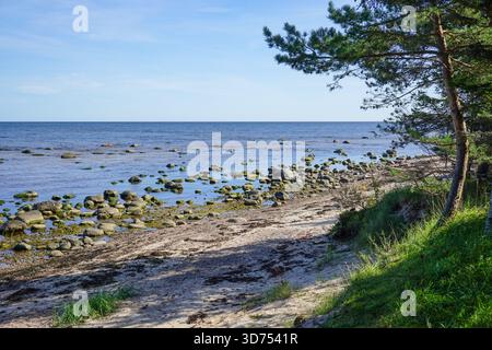 Bouldery Coastline near Kaltene, Latvia Stock Photo