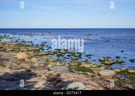 Bouldery Coastline near Kaltene, Latvia Stock Photo