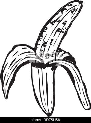 peeled banana exposing soft flesh, detailed contour lines and tactile texture, intimate snack moment illustration for wellness, Black and white vector hand-drawn illustration in line art style. Stock Vector