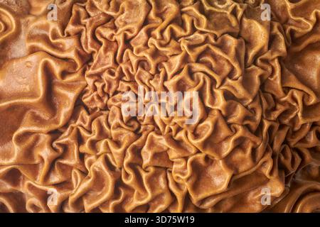 macro close-up of wrinkled dried fruit skin, deep reddish-brown abstract texture with irregular folds, full frame food background pattern Stock Photo