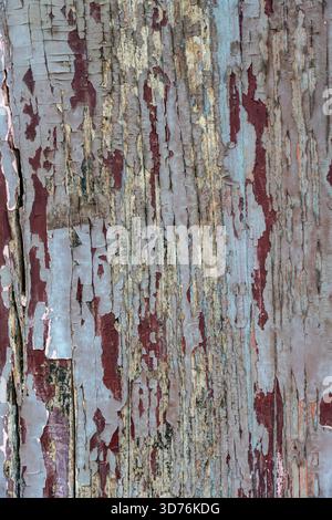 An abstract close-up of vertical wooden planks with multi-layered, heavily peeling paint. The worn surface creates a rough texture symbolizing decay, Stock Photo