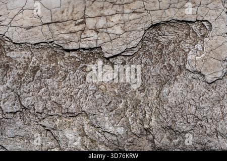 An extreme close-up of a rough, dry rock or concrete surface with fine, intricate cracks. The highly textured background conveys erosion, drought, and Stock Photo