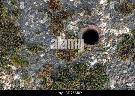 Overhead, full-frame close-up of a circular rusted metal hole situated slightly off-center on a mottled concrete surface covered by dark green moss an Stock Photo