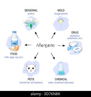Types of Allergens. Environmental triggers of allergy. Antigens. Vector illustration Stock Vector