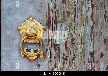A close-up of a golden, ornate door knocker (lion face) set against a wooden door with severely peeling paint. The contrast highlights the decay and h Stock Photo