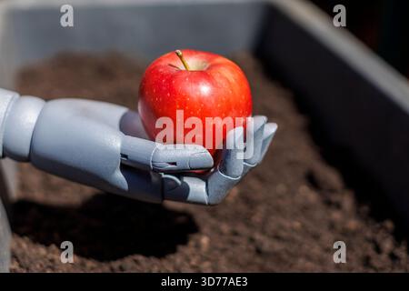 robot hand holding an apple Stock Photo
