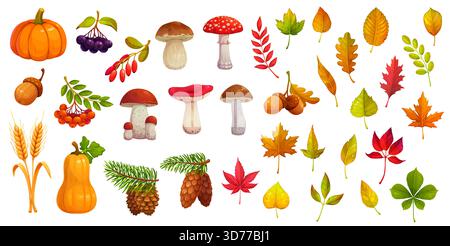 Autumn season fall leaves, pumpkins, oak acorns, ripe berries, forest mushroom and wheat vector symbols set. Cartoon autumn harvest veggies, maple lea Stock Vector