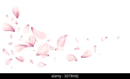 Pink Petals Scatter Across White Background In Soft Romantic Flower Splash Delicate Petal Motion Artwork Stock Vector