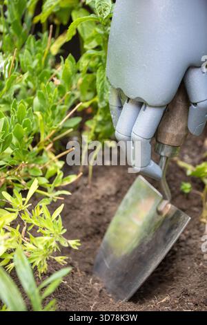 Close-up of a robotic hand using a trowel to cultivate fresh soil in a garden during daylight hours Stock Photo
