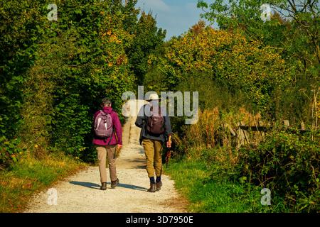 Elderly couple walking on a footpath in late summer with trees and bushes on either side of the path. Stock Photo