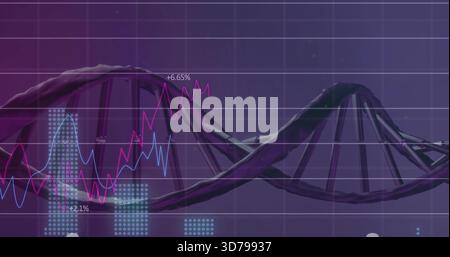 Displaying purple DNA helix sweeping across grid, featuring magenta light-blue graphs +6 Stock Photo