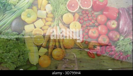 Displaying fresh produce carrots tomatoes corn avocado on rustic wood overlaying marsh boardwalk Stock Photo