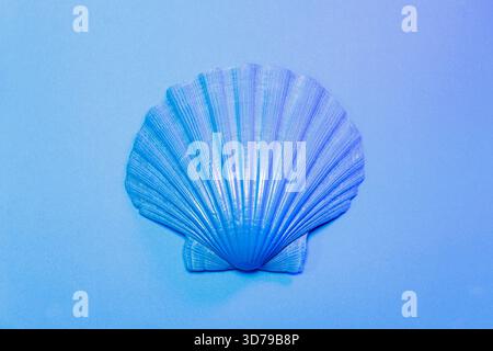blue shell resting on a flat blue surface Stock Photo