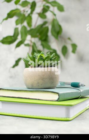 Colorful Notebooks On A Desk, Pen For Writing A Message, Cactus On The Pile Of Booklets, Office And Lifestyle Concept Stock Photo