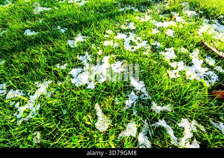 Green grass with patches of snow in bright sunlight Stock Photo