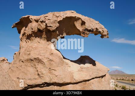 Condor Rock a fantastically weathered rock formation in the Valle de las Rocas the Valley of the Rocks near uyuni in Bolivia South America Stock Photo