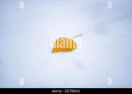 Single yellow leaf lying on smooth winter snow. A solitary yellow leaf contrasts with the pure snow, expressing minimalism and seasonal emotion. Stock Photo