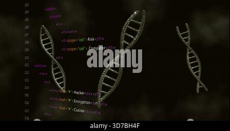 Floating metallic beaded double-helix models rotating in dark smoky void, with numbered code column Stock Photo