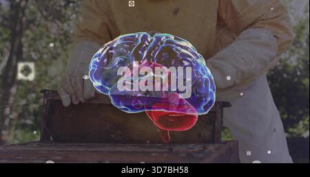 Beekeeper in beige suit with gloves handling honeycomb frame at apiary with floating brain hologram Stock Photo
