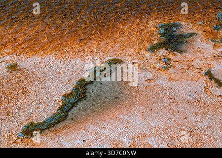 Unusual shapes that formed in the shallow waters of a geothermal pool at Yellowstone National Park, Wyoming, USA Stock Photo