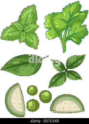 Colorful vector herbs and vegetables, flat style, isolated on white, clean outlines, vibrant palette Stock Vector