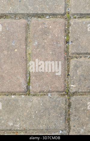 Close-up view of aged concrete pavers showing textured surfaces, green moss patches, and small pebbles in the joints of an urban walkway. Stock Photo