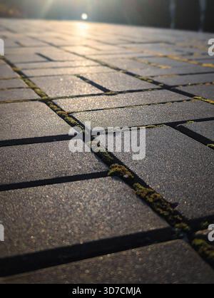 vertical low angle close up of paving stones texture with moss and golden sunlight Stock Photo