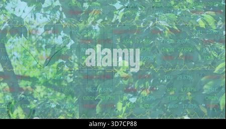 Displaying dense foliage merging with faint market overlay in canopy, with yellow line and tickers Stock Photo