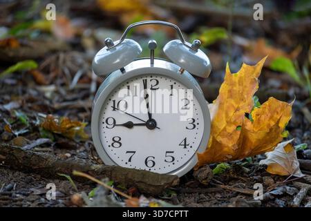 A classic alarm clock rests on the forest floor, surrounded by fallen leaves, capturing a moment in time during the autumn season. Stock Photo