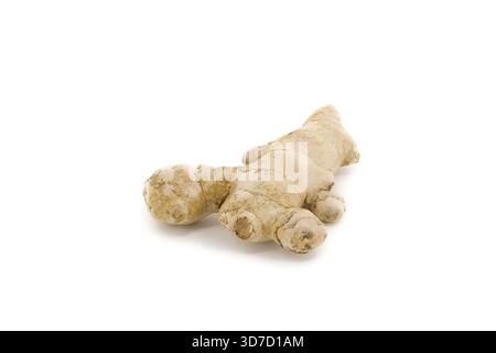 Organic ginger arranged on a bright white surface, emphasizing the root’s intricate form and warm tones under soft lighting. Stock Photo
