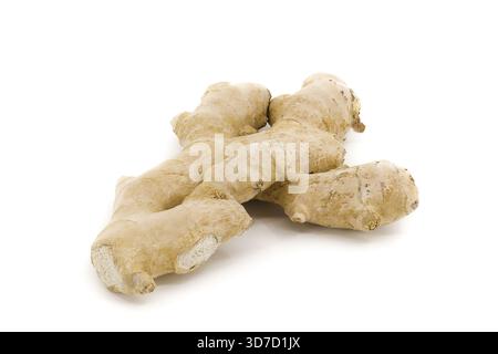 Organic ginger root shown on a neutral white backdrop, clearly presenting its unique shape and surface details under balanced studio light. Stock Photo